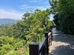 -许家山