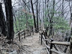 -王顺山国家森林公园