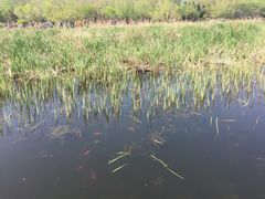 -前关湿地公园