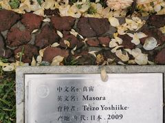 -人民公园(罗湖区)