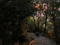 -杭州半山国家森林公园