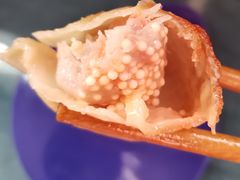 鲜虾蟹子鲜肉饺-袁记云饺(友谊路店)