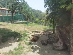 -栾川竹海野生动物园