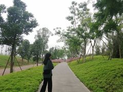 -白鹭湾湿地公园