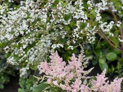 -金陵花卉交易市场