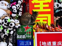 -春熙路步行街