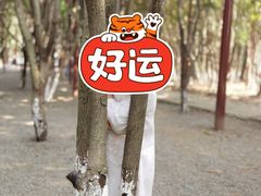 -八卦田遗址公园