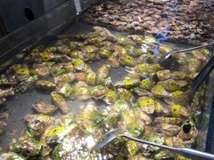 -和谐号蒸汽海鲜烤肉自助餐厅(欧亚新生活店)