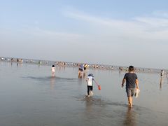 -南汇嘴观海公园