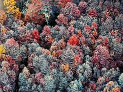 -罗红摄影艺术馆