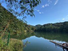 -中山市树木园