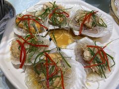扇贝-金米箩大酒店(五角场店)