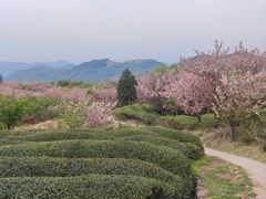 -四明山国家森林公园