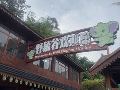 -野象谷景区