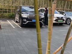 -The lounge 柏悦酒店大堂酒廊(上海环球金融中心店)