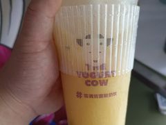 -一只酸奶牛(春熙路店)