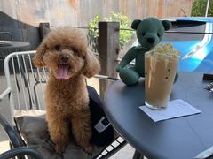 -maan coffee漫咖啡(通州店)