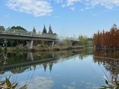 -白鹭湾湿地公园