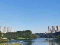 -重庆彩云湖湿地公园