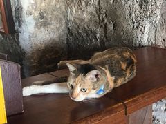 -圣佩德罗堡
