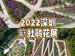 -莲花山公园