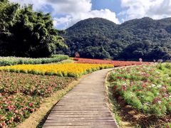-广州市石门国家森林公园