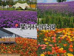 -老鼎万春卤菜(五代传承创始老店)