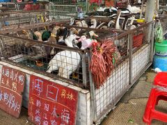 门面-海吉星市场