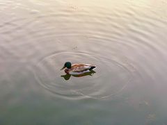 -前关湿地公园