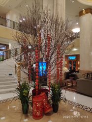 -上海虹桥锦江大酒店·宴会厅