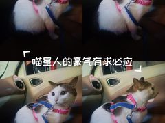 -深圳野生动物园