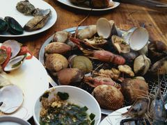 -芽庄喜来登水疗酒店