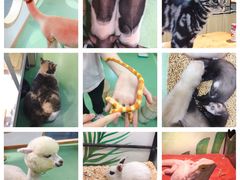 -藦茜花园宠物主题亲子互动体验馆(国顺东路店)