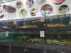 -宝燕壹号(徐汇店)