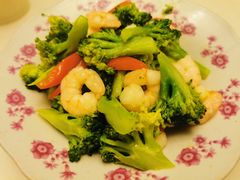 -田螺阿姨自营月嫂·育儿嫂(高新店)