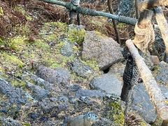 -阿尔山市大兴安岭奥伦布坎景区