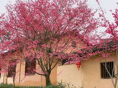 -五龙客家风情园