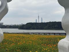-海珠湖公园
