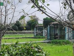 -洪湖家庭农场·团建·露营·会议