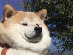 -醉湘厨艺(才华街店)