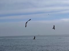 -银沙滩浴场
