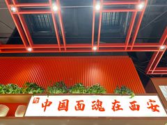 -西北馍王.陕西手工面(龙湖白沙天街店)