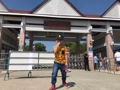 -上海都市菜园