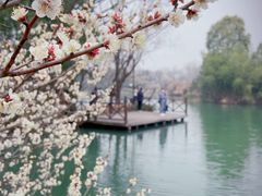 -西溪国家湿地公园