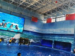 -多彩贵州城极地海洋世界