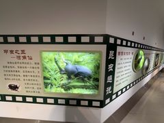 -上海昆虫博物馆