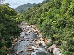 -海南热带雨林国家公园吊罗山景区