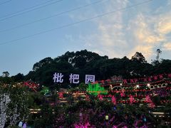 -枇杷园食为鲜火锅(南山店)