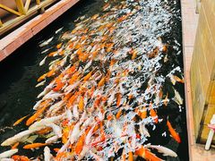 -侠成水上农庄(工业大道店)