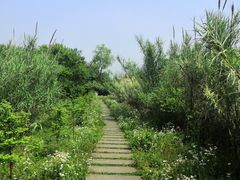 -西溪国家湿地公园